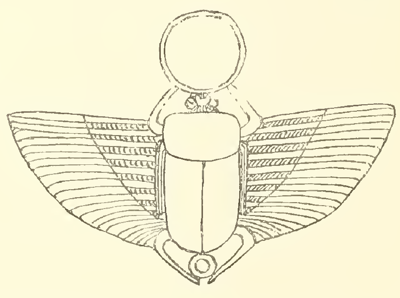Image for: Scarab