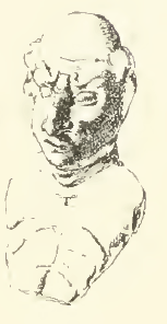 Image for: Bust of a man